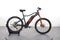 Prophete Rex Graveler e9.8 E-MTB