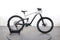 Bergamont E-Trailster Expert