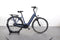 Gazelle Arroyo C7+ Elite