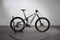Orbea Wild FS H10