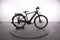 Gazelle Medeo T10