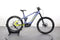 Haibike ALLMTN CF 11