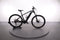 Trek Powerfly 4