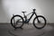 Orbea Wild H30