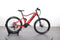 Cycle Denis Ace 2