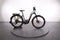 Haibike Trekking 10