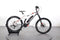 Haibike ALLMTN 6