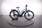 Batavus Dinsdag E-go® Sport