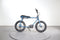 Ruff Cycles Lil Buddy