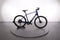 Trek Dual Sport+ 2 LT