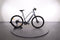 Trek Dual Sport+ 2