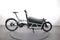 Riese & Müller Load 60 vario