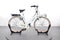 Gazelle Miss Grace C7+ G3251