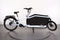 Cube Cargo Dual Hybrid 1000