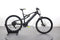 Raymon Raymon FullRay 130E 4.0 - 500 Wh - 29 Zoll - Fully