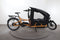 Riese & Müller Load 75 vario