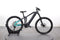 Haibike ALLMTN 1