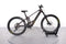 Orbea Wild FS M20
