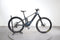 Orbea Wild H10