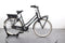 Gazelle MISS GRACE C7+