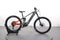 Haibike ALLMTN 4