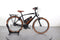 Riese & Müller Cruiser2 vario