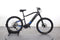 Haibike HARDSEVEN 7