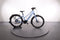 Batavus RAZER E-GO EXCLUSIVE