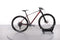 Mondraker Podium