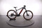 Trek Powerfly 5