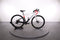Mondraker Dusty R