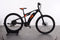 Raymon eNine TrailRay 9.0