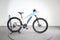 Orbea Wild HT 30
