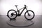 Trek Rail 9.5