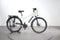 Gazelle Medeo T10