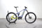 Haibike Alltmn CF 11