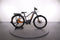 Haibike TREKKING 10