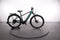 Corratec E-Power MTC 12S Herren