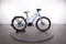 Batavus Razer
