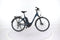 Raleigh Motus Grand Tour Open