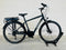 Trek Verve +1