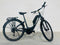 Trek Verve +1 Lowstep