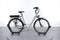 Freebike Queens