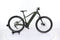 Zubr Hardtail