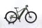 Zubr Hardtail