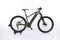 Zubr Hardtail