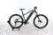 Zubr Hardtail