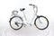 Viron Motors City Bike 250