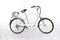 Viron Motors City Bike 250