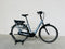 Gazelle Orange C310